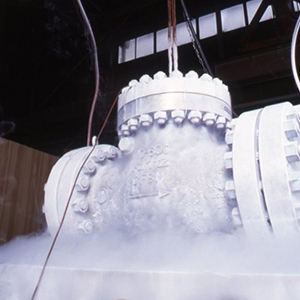 Cryogenic test